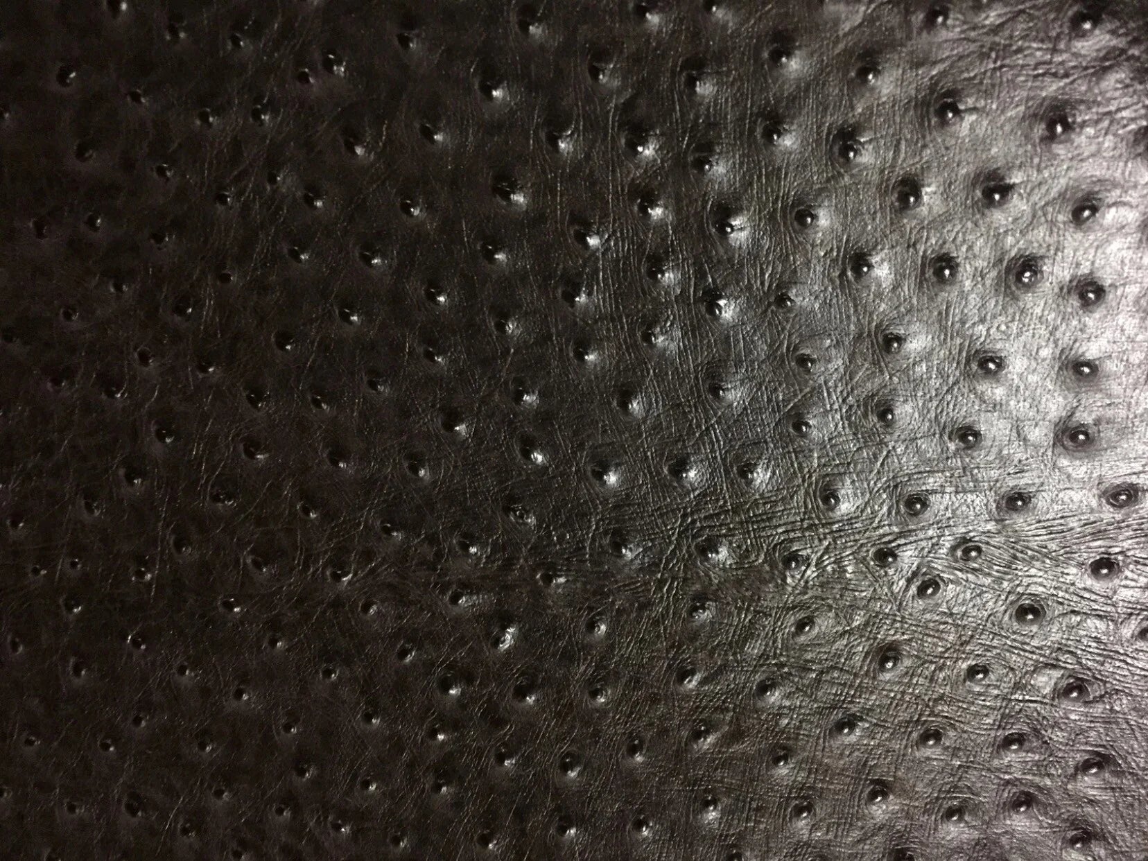 ملمس جلد النعام الأسود يظهر الأناقة لأحذية باتينا تشيلسي في تقديم الجلود الغريبة.